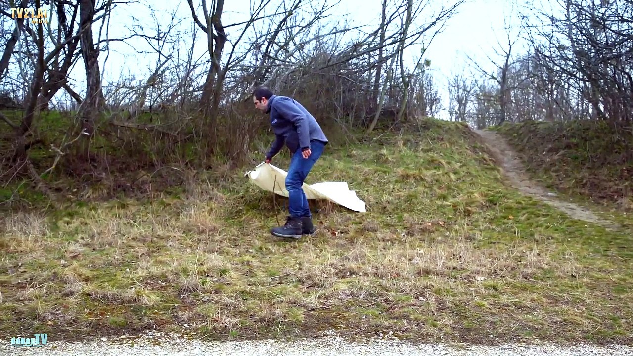 Zecken mögen’s warm