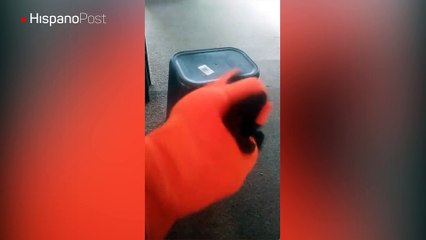 Atrapó a un murciélago y cuando quiso liberarlo se llevó un buen susto