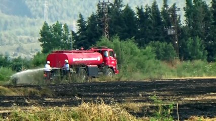 Akıma kapılan martı yangın çıkardı - MUĞLA