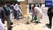 کراچی کی چھاؤں لوٹانے کے لیے سما نے قدم بڑھایا،درخت لگایا،تو سب نے ساتھ نبھایا