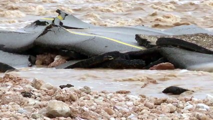 오만, 초강력 사이클론 상륙...13명 사망 / YTN