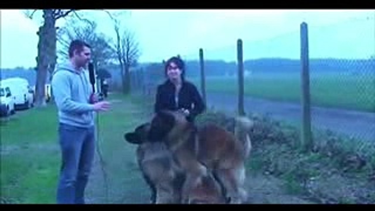 komik videolar