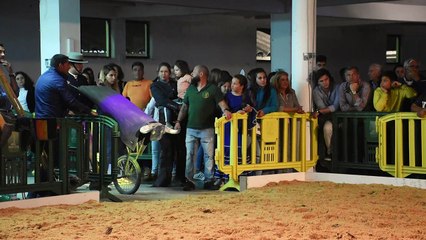 Gala Equestre ARTM na Feira de Maio 2018 - 02