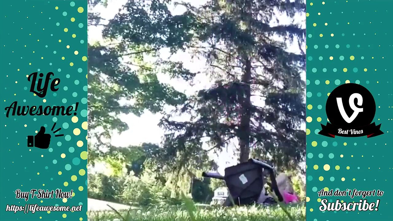 Try Not To Laugh Watching Best Funny Fails Compilation 2018 | Best Fails of the Week