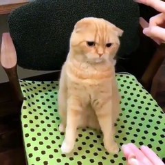 Chữa bệnh xuất tinh sớm