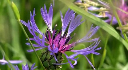 S4 puntata 18 2018 parte 1