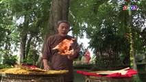 THVL | Cổ Tích Việt Nam: Cô Gái Lấy Chồng Hoàng Tử (Phần 1)