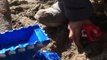DinoTrux Toys Sand Playtime at Pfeiffer Beach, Big Sur, California - Kids Travel Family Vlog Trip
