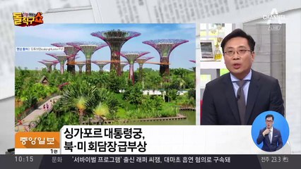 北 김창선·美 헤이긴 마주 앉는다…북미회담 의전 조율