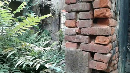 Epar Opar, The Patiition