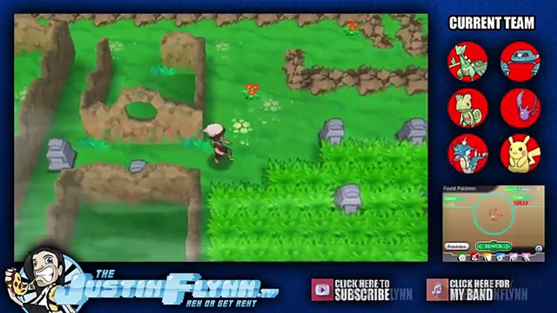 Pokémon Omega Ruby & Alpha Sapphire - DexNav