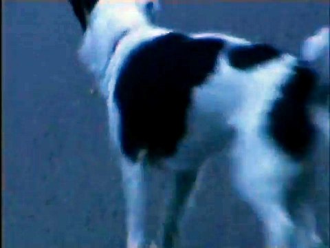 CBBC Continuity on BBC1 18th October 2004