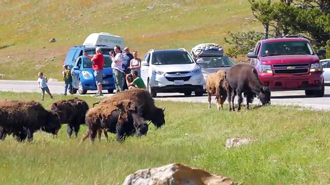 4K Nature Documentary Film - Yellowstone Natural Wonders - in 2 parts - TRAILER