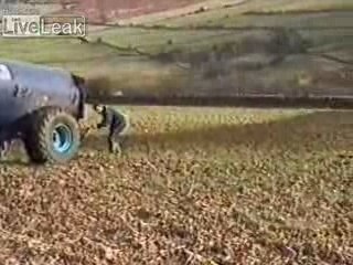 noyé dans le purin et le lisier