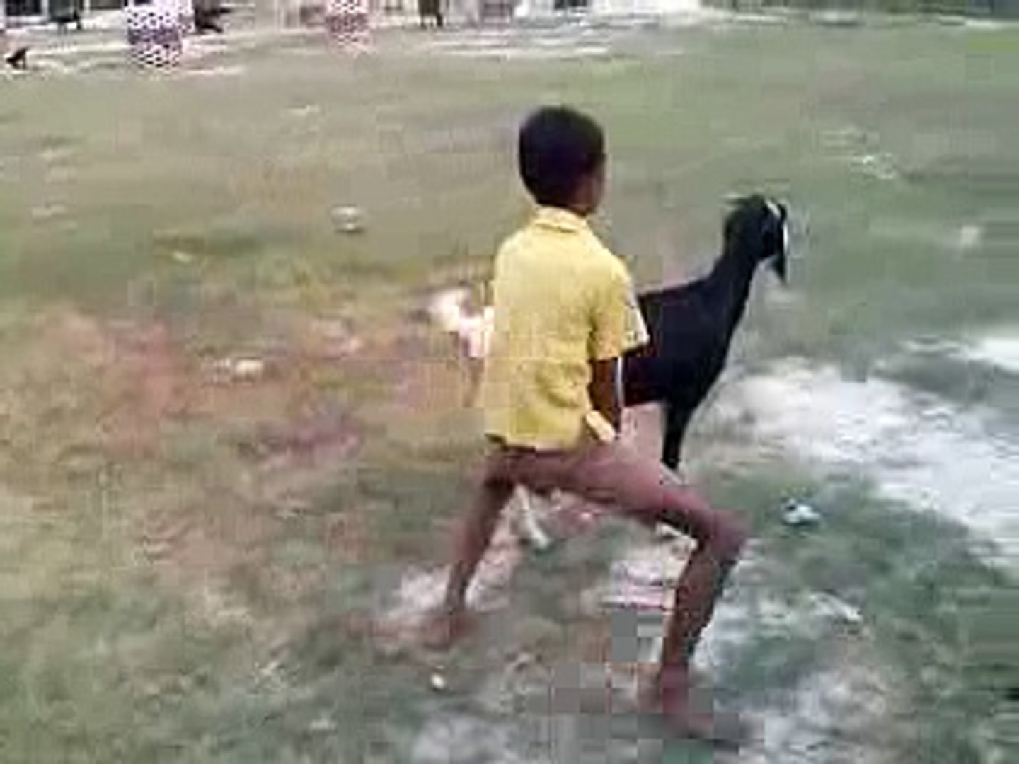 Cut comedy video,folk comedy video,desi comedy video,short comedy dance,marwadi Delhi video