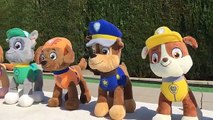 La patrulla canina y peppa pig en las olimpiadas con la doctora juguetes/Cap 16 Paw Patrol español