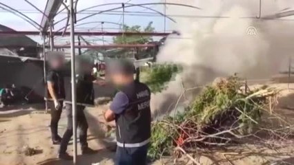 Seraya Uyuşturucu Operasyonu