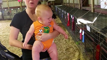 Funny Kids and Fish Become Best Friend | Funny Babies and Pets