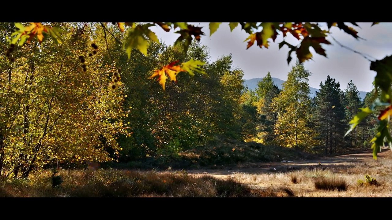 Le Poirier Sauvage - Bande-annonce VO