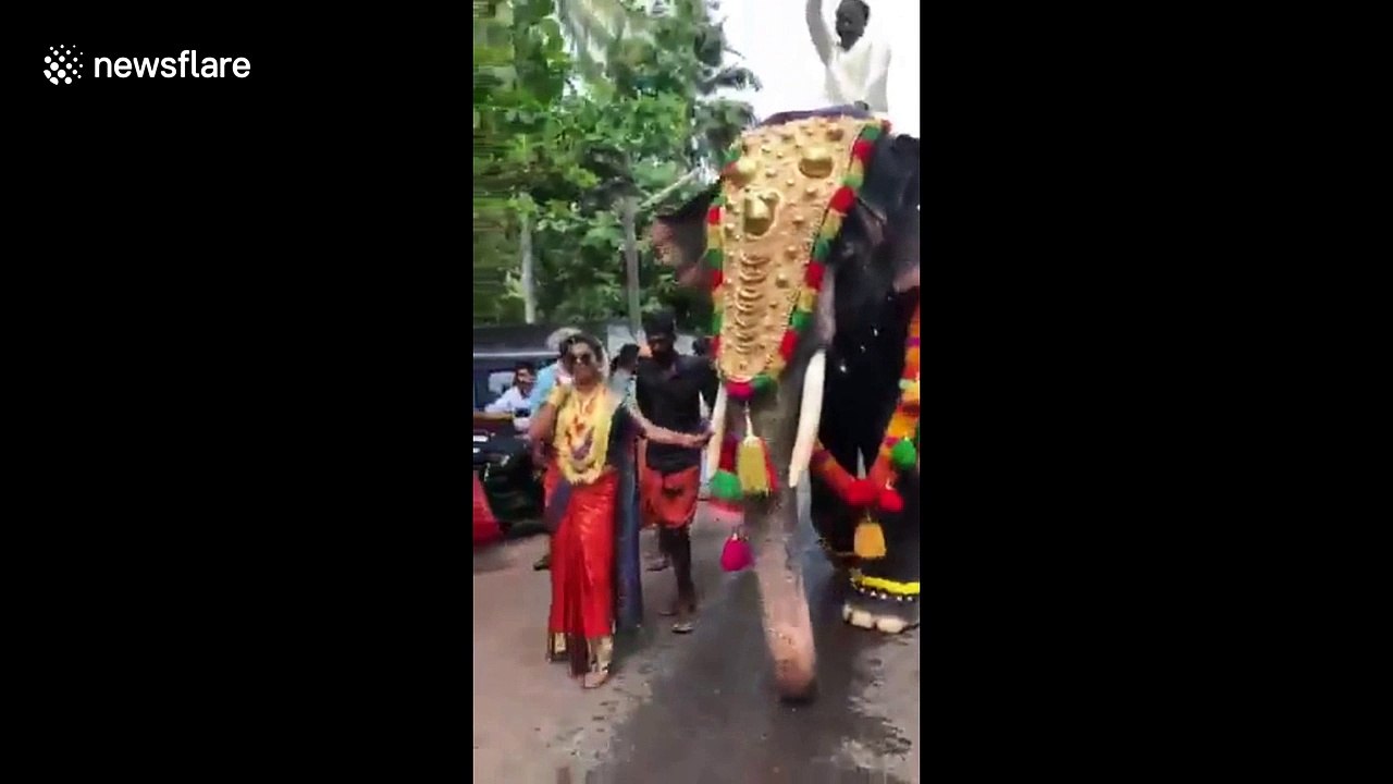 Abuse outcry after stylish bride leads elephant procession