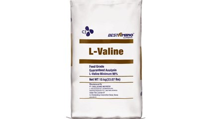 [기업] CJ제일제당 사료 첨가제 점유율 60% 넘어 / YTN