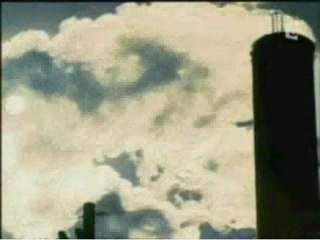 Homo sapiens, une espèce en voie de disparition