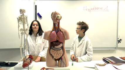 Le Foot, les femmes une histoire d'interdiction du ballon (version 2)