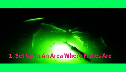 Hunt more Fish at Night with Fishing Light