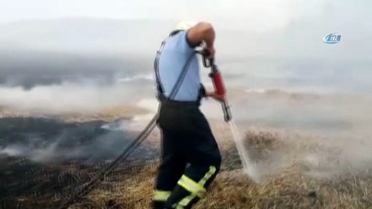 Martının çıkardığı yangında 60 dönümlük arazi kül oldu