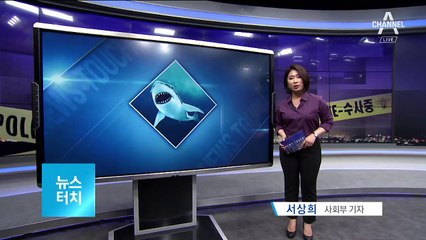 [뉴스터치]온난화에…해안가 곳곳 ‘죠스’ 출몰