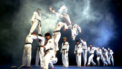 Démonstration de Taekwondo de l'Equipe Nationale de Corée