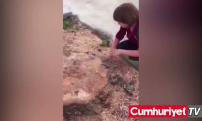 Her gün öptüğü ağaç kesildi, gözyaşlarına boğuldu