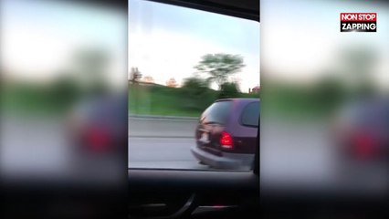 États-Unis : Un chat se retrouve accroché sur le toit d'une voiture (Vidéo)