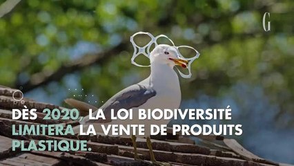 Europe : en chemin vers le sans-plastique ?