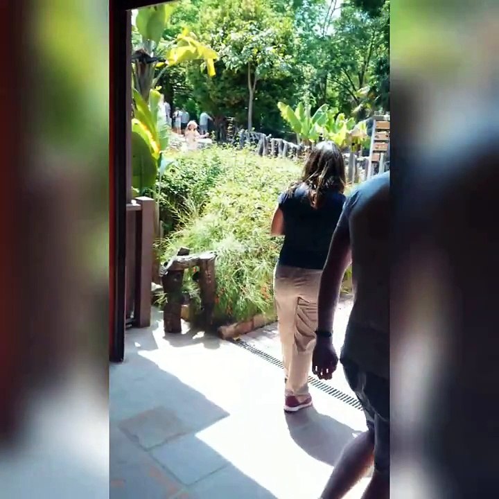 WATCH THIS INTROVERT TRY TO RETRIEVE HIS PROPERTY.......