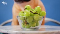 Are You Feeding Your Dog These Toxic Foods?