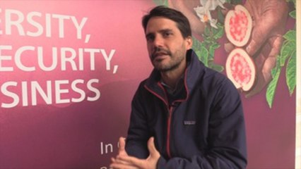 De los insectos en la alta cocina al toque selvático de la comida de Virgilio Martínez