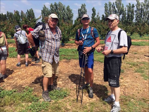 De Comps à Jonquières Saint-Vincent