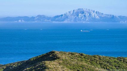 أطنان الحشيش المغربية "تغزو" إسبانيا وأوروبا