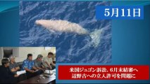 米国ジュゴン訴訟 6月末に結審