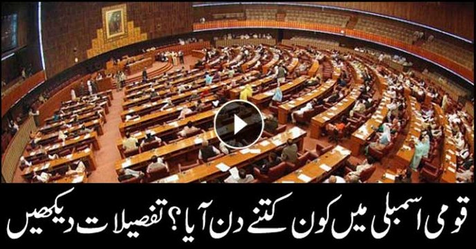 Watch details: who attended National Assembly for how many days