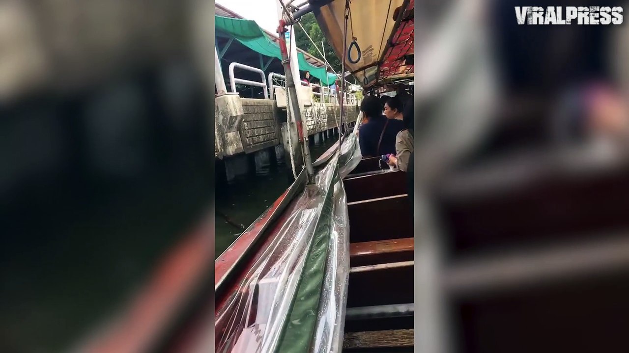 Dog Rescued From Canal