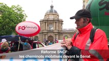 Réforme SNCF: les cheminots mobilisés devant le Sénat