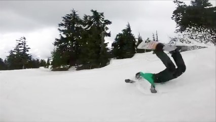 Monday Mallet: What a Scorpion Looks Like