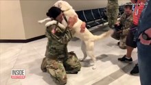 Soldada se reencontra com cadelinha que conheceu no Iraque e emociona todo aeroporto