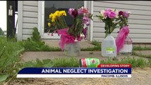 41 Animals Found Dead Inside Illinois Pet Store