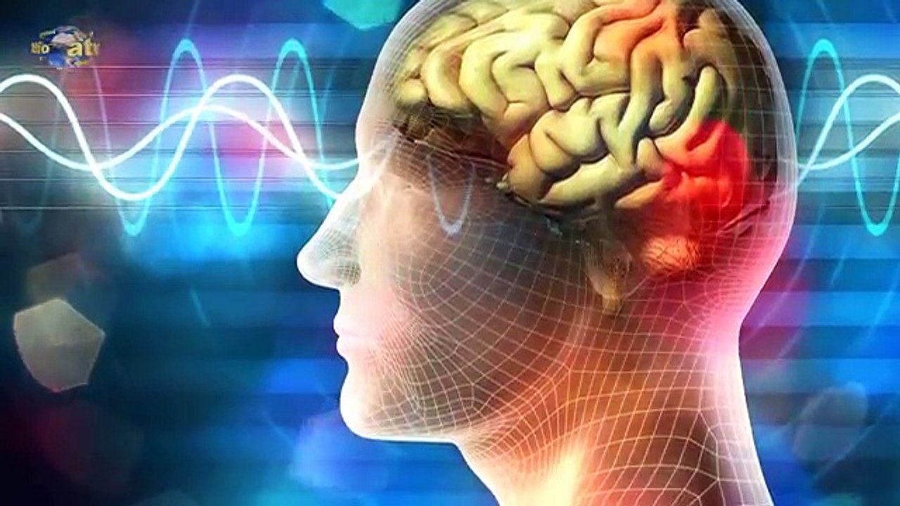 Муха. На одном крыле - яд, а на другом - излечение. Научная истина