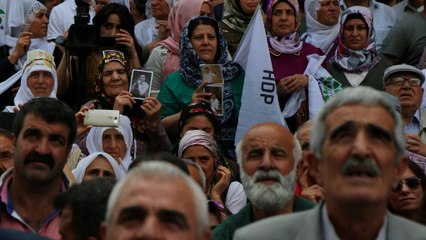 HDP Avrupa Temsilcisi Doru: "Türkiye'yi bölmek istemiyoruz"