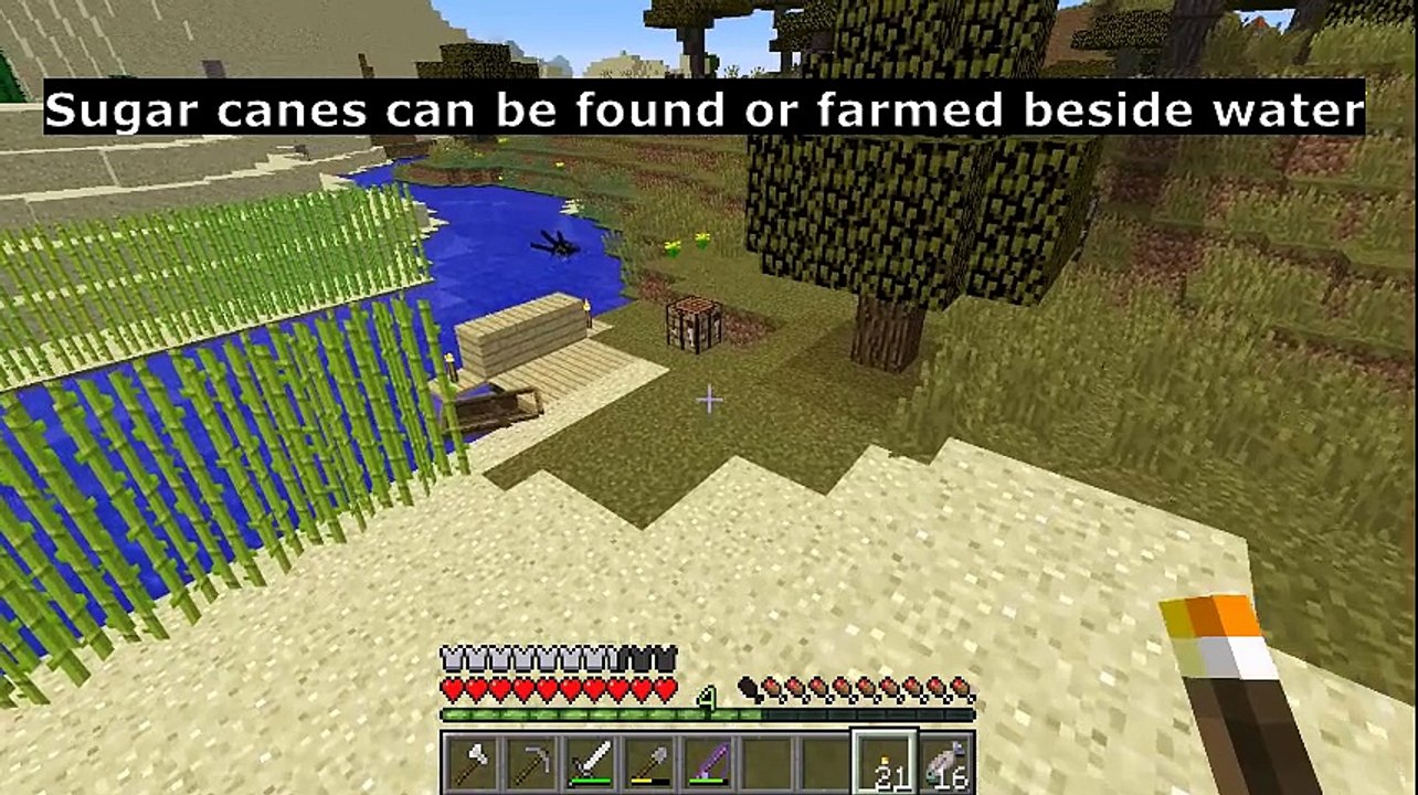 Minecraft - Uses for sugar canes