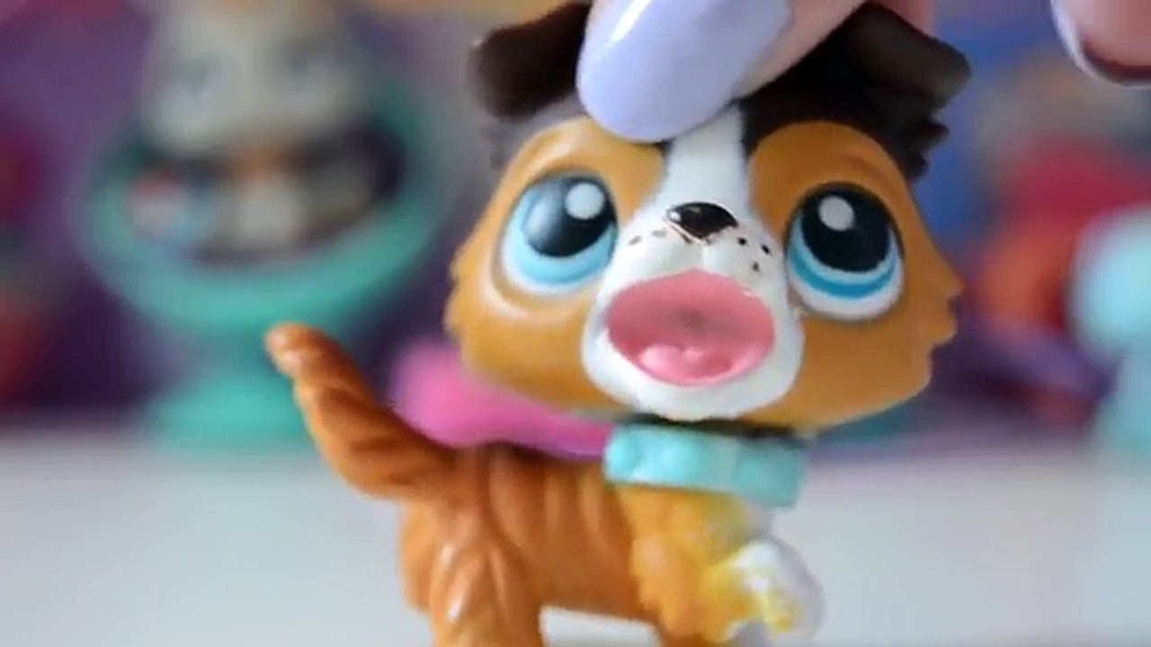 All Of My Littlest Pet Shop Collies!